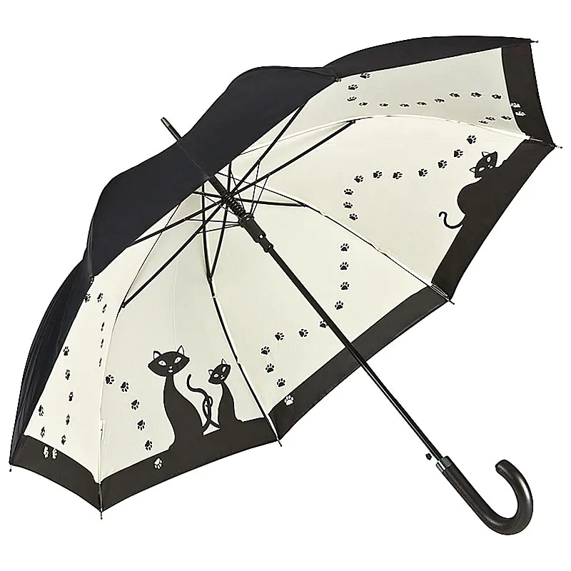 Fotoaufnahme Regenschirm mit Innendruck Fotoaufnahme Regenschirm mit Innendruck