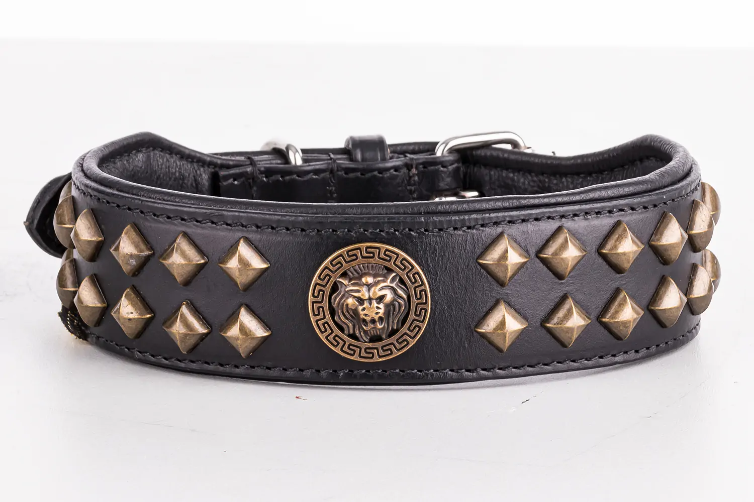 Produktfoto mit RAW-Entwicklung Hundehalsband Produktfoto mit RAW-Entwicklung Hundehalsband